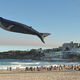Illustration for article titled Beware the real-life, 98-foot Fail Whale who terrorizes the skies